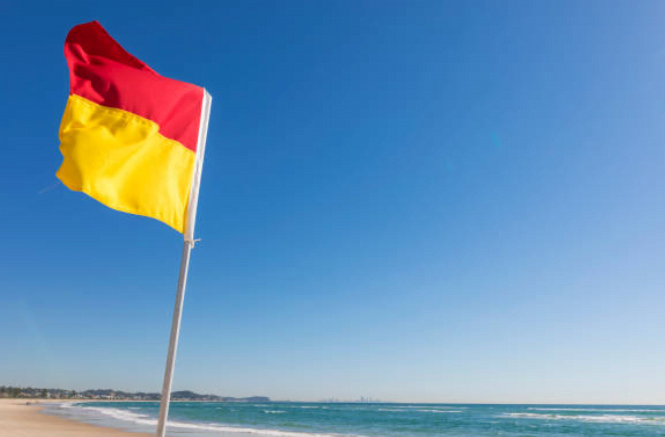 Cankurtaran Uyarı Bayrakları